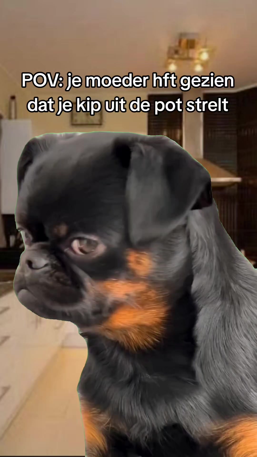 @🤣SURINAME FUNNY🤣