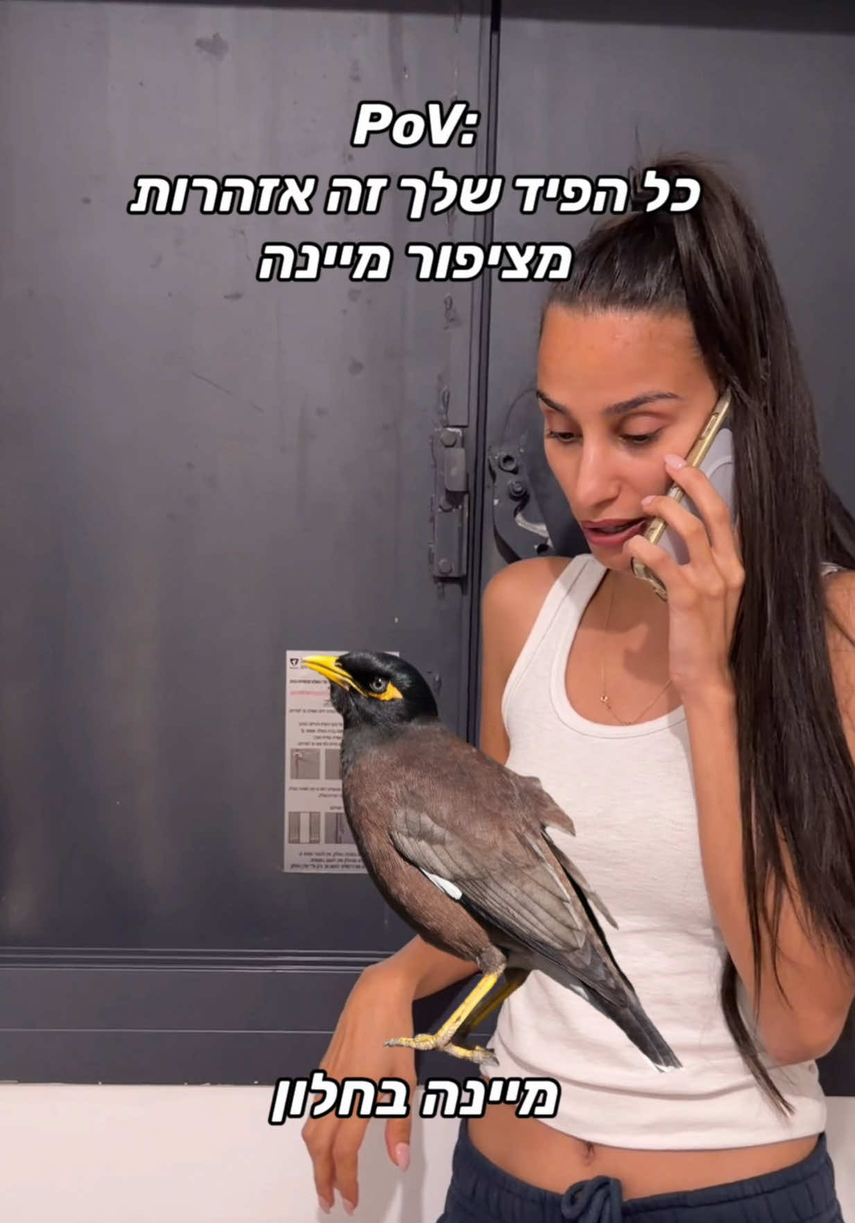 @אבּי אבישג ❤️