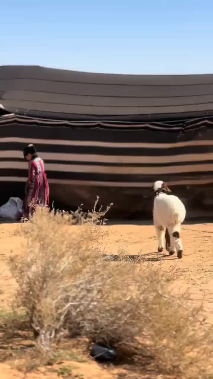 @ياحسايف@@@888