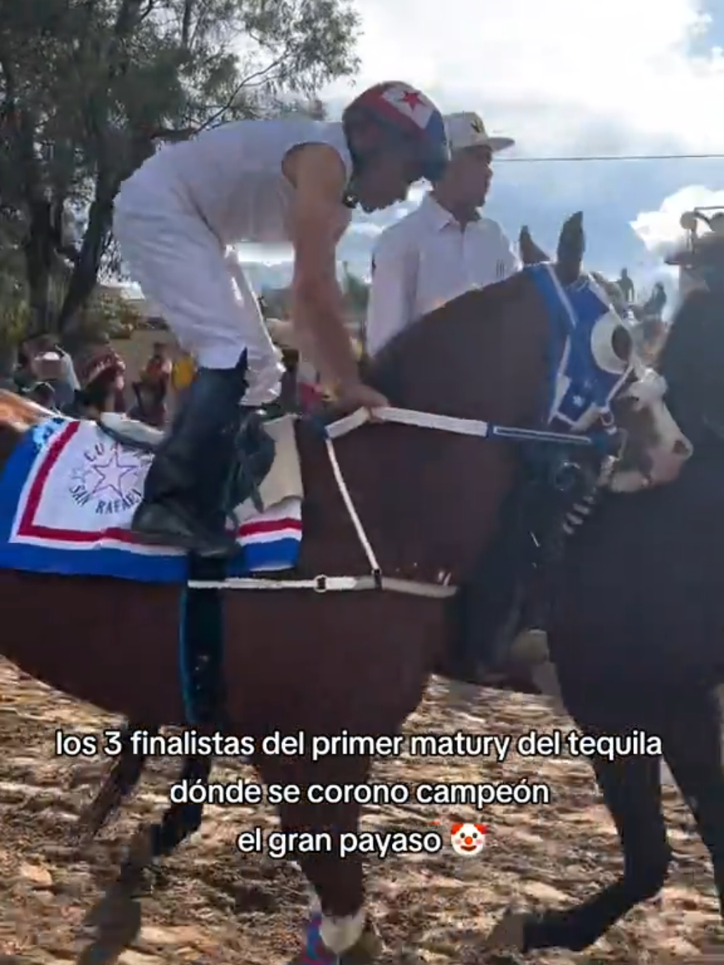 @carriles altos de jalisco🐎