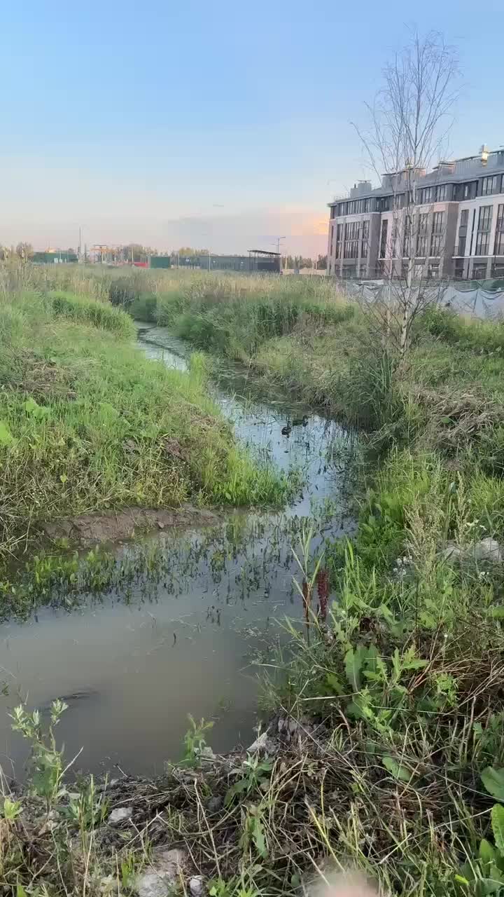 @Ольга03rus