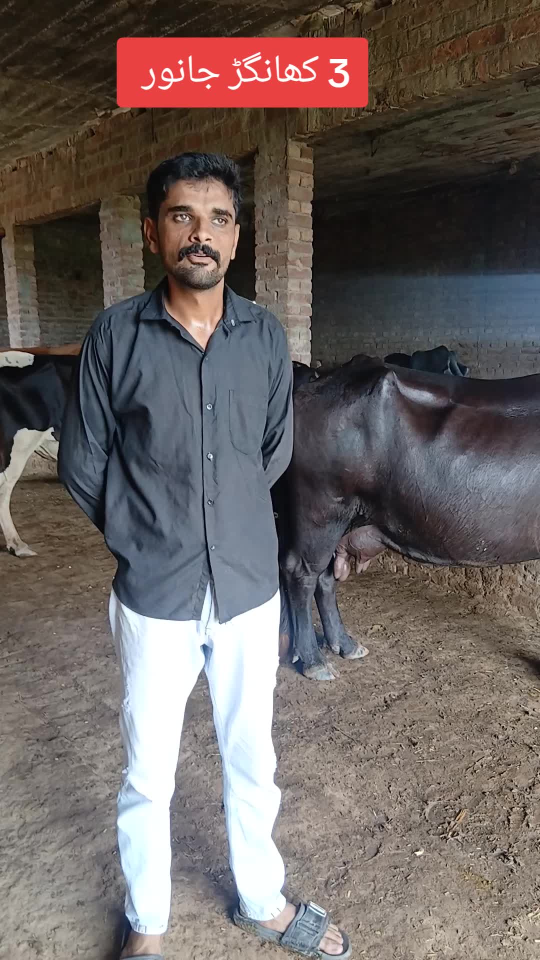 @Farming and Business Ideas