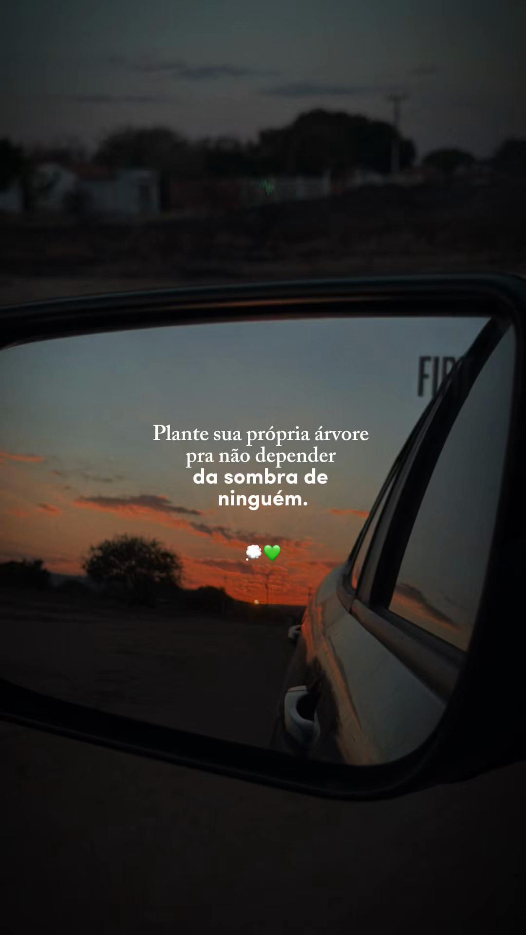 @Luana Aguiar 