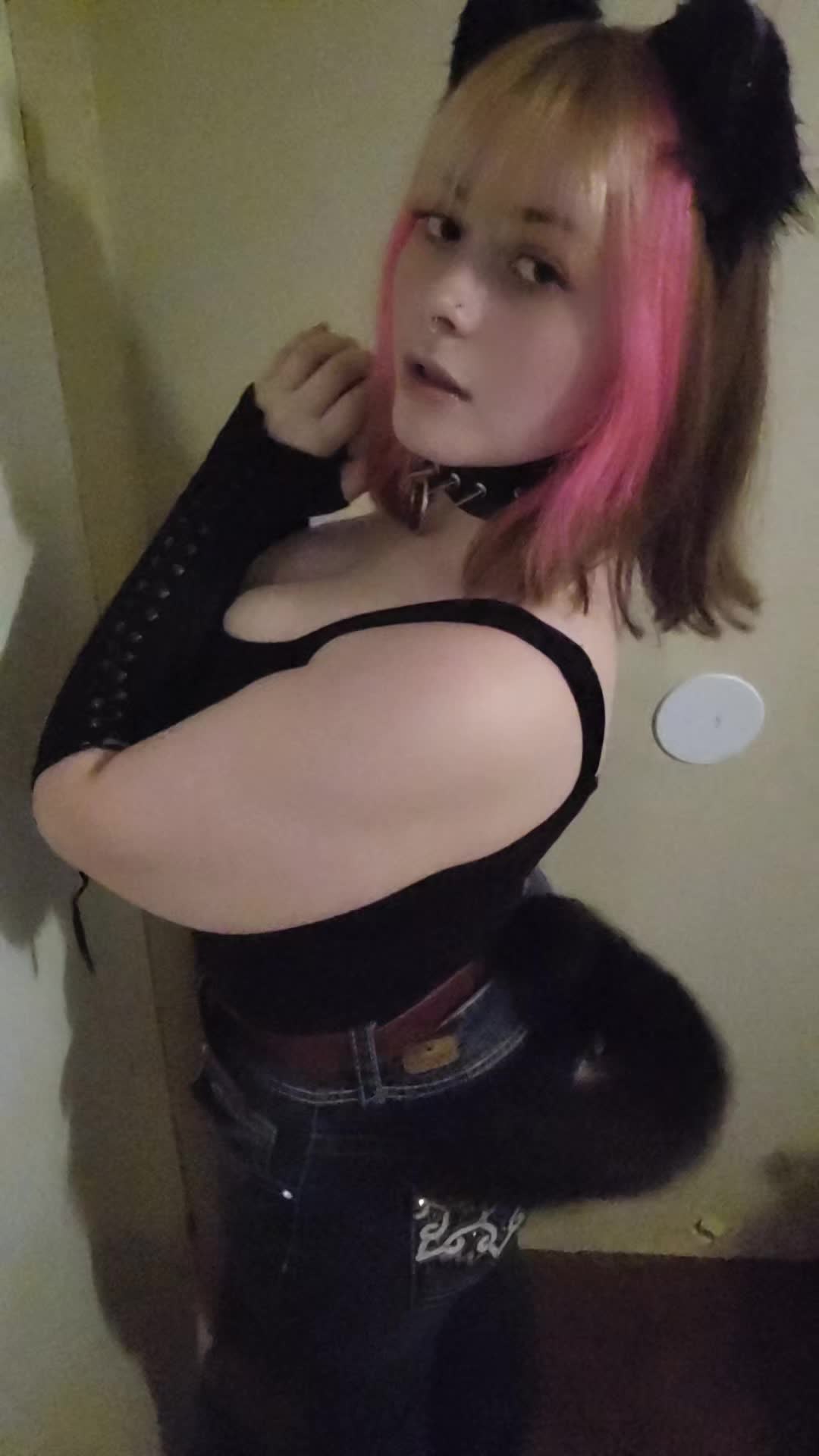 @dino🦕☣️🐶🐆🐰