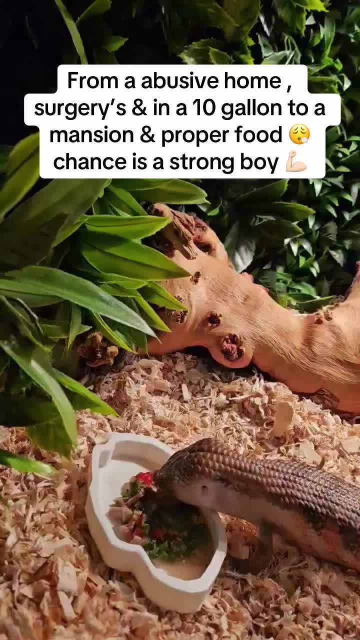 @𝓣𝓻𝓮𝓷𝓽𝓸𝓷
