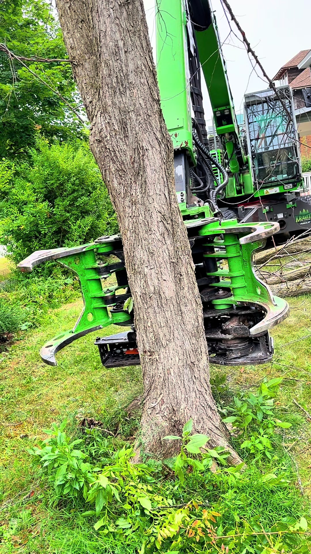 @kravitztreeservice