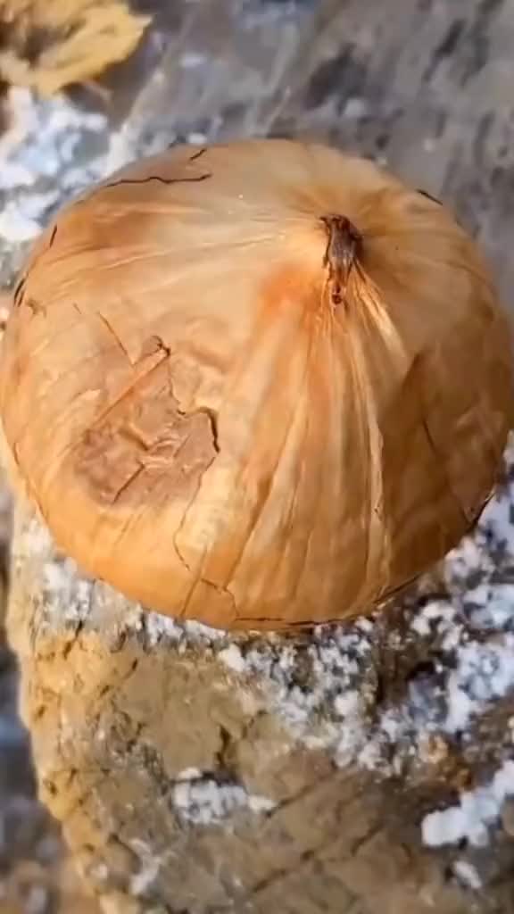 @fruits