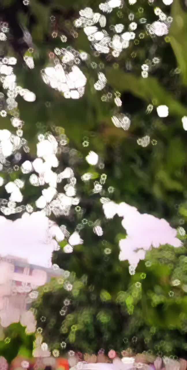 @AHMEDTANOLI_1