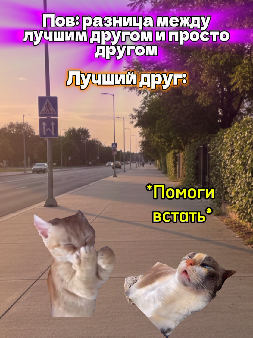 @MisterCat