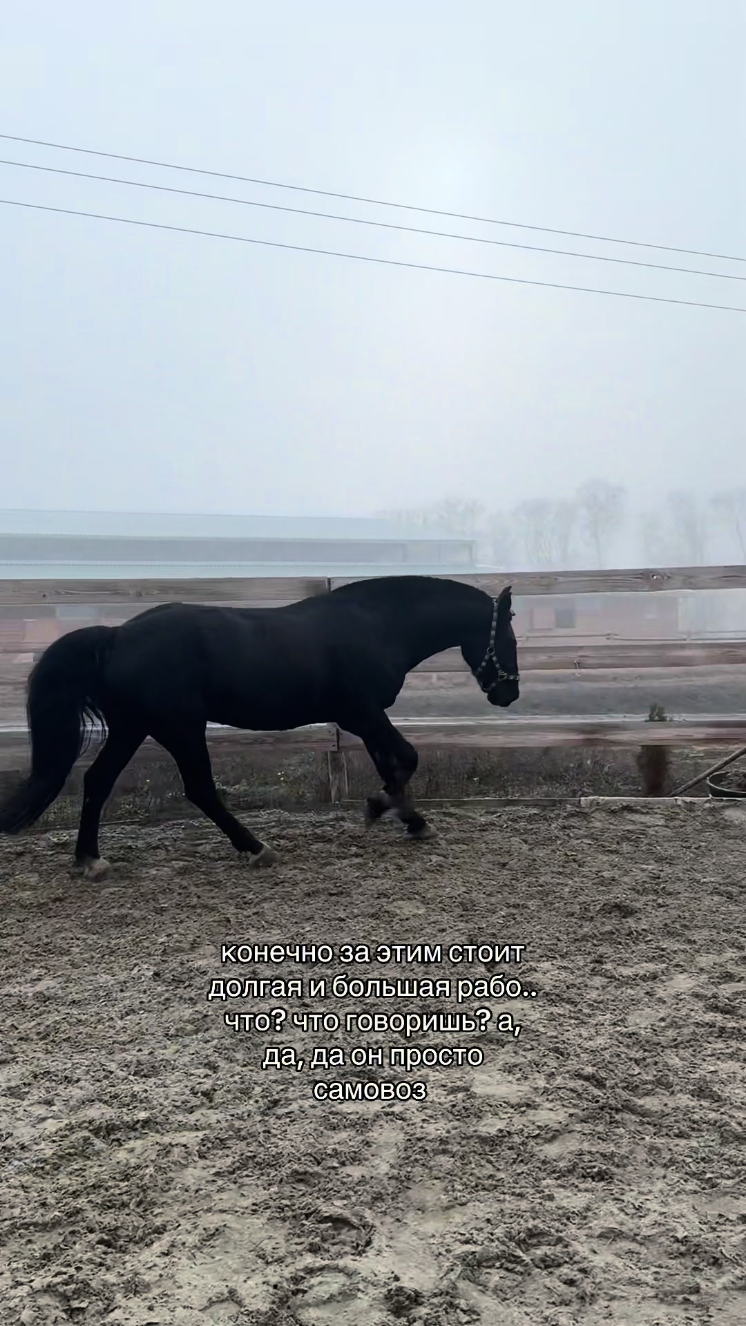 @чикуля