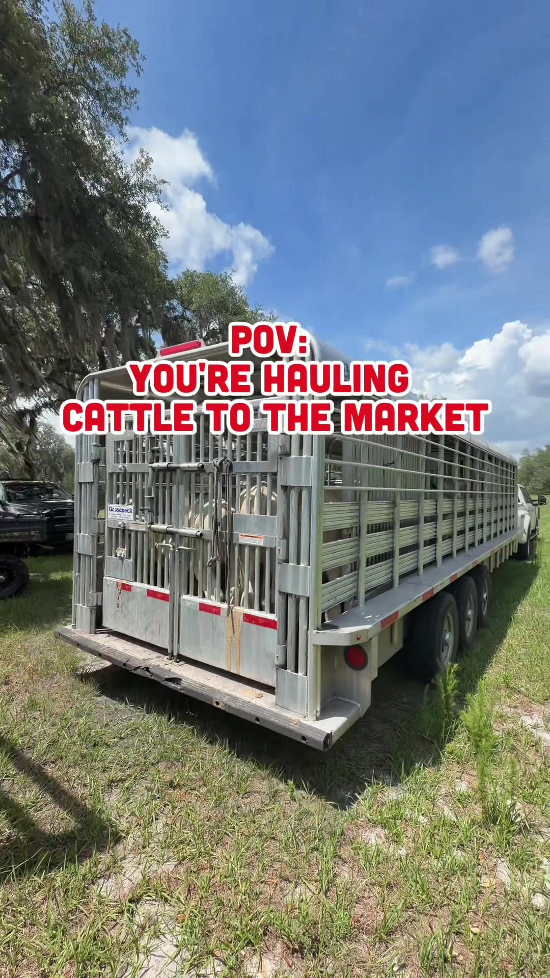 @Cattlemen’s Livestock Market