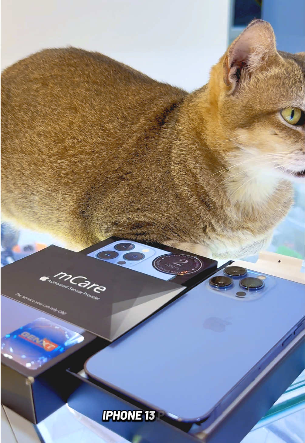@I Crave  PremiumSecond Mobile