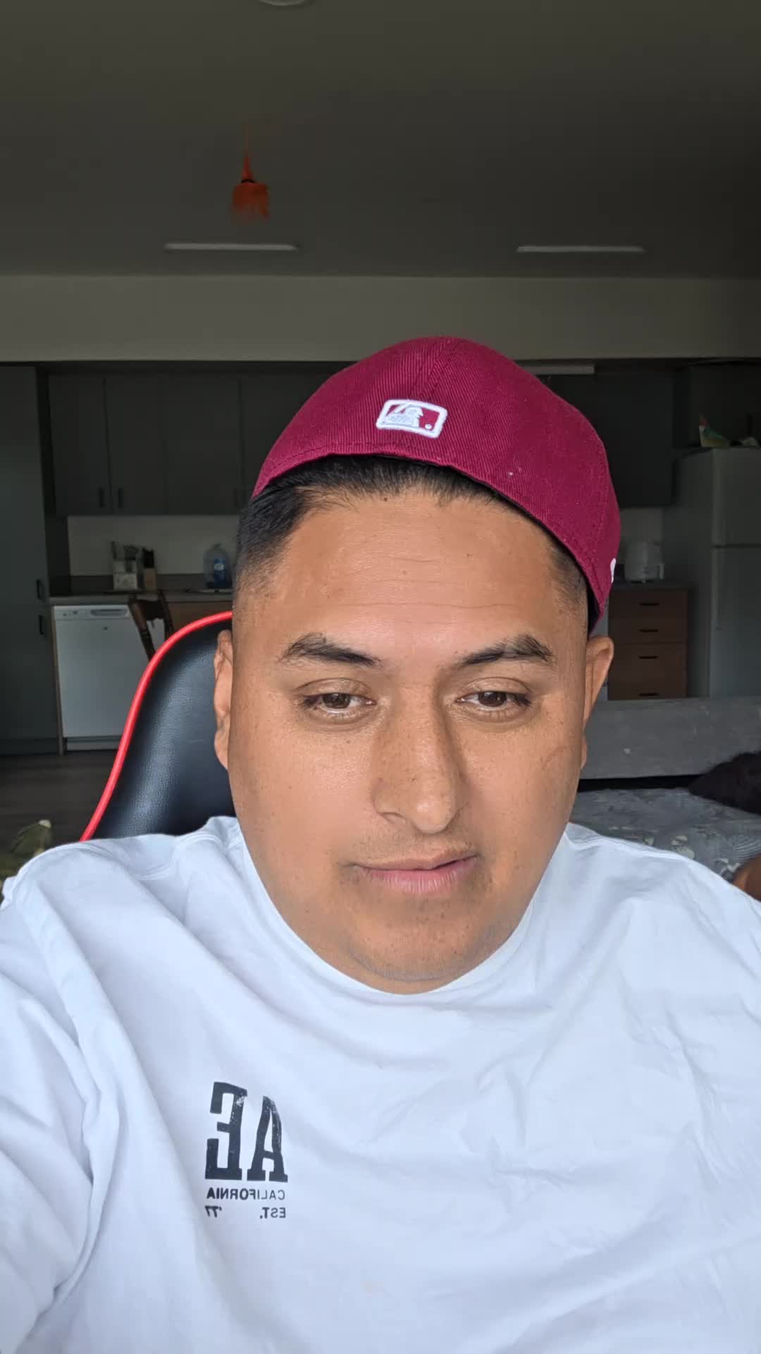 @🌪️💰El CHEF MILLONARIO 💰🌪️