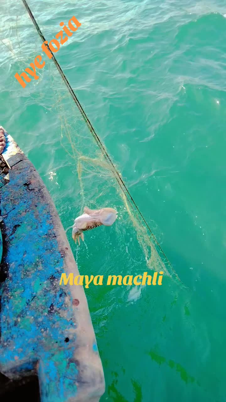@Najab ki jan N