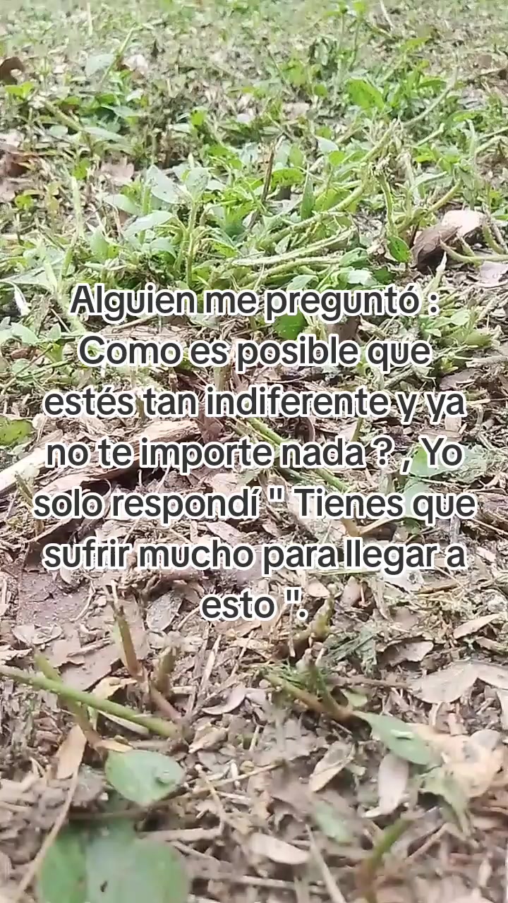 @Aiko Akay
