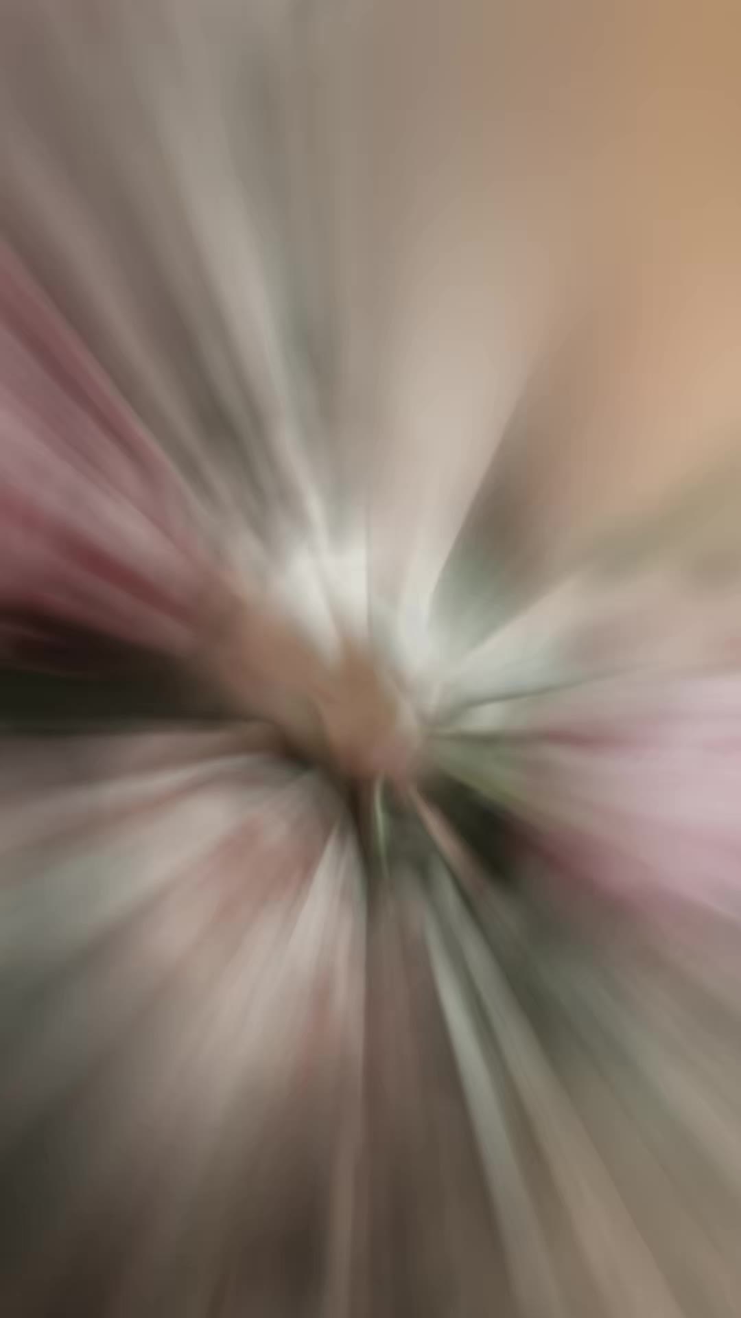 @๐ท๐๐๐๐๐๐ โก