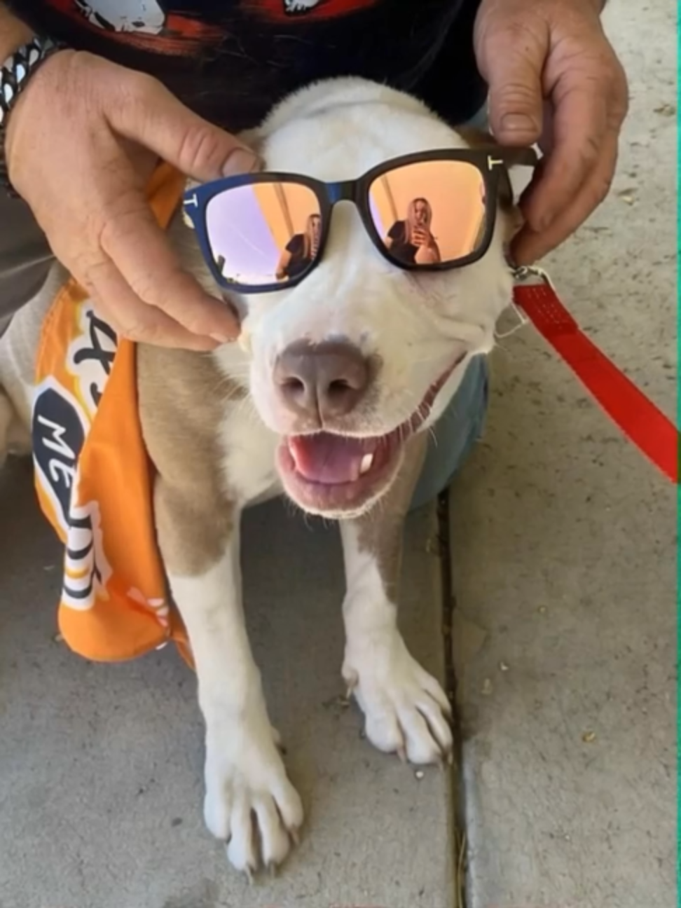 @One Love Animal Rescue Group