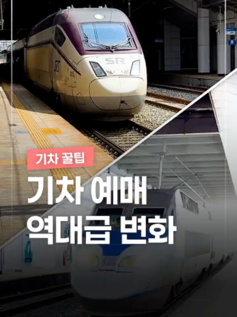@짤컷