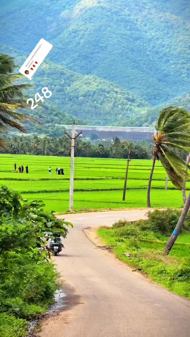 @பேப்பர் ஐடி 248 🌹1