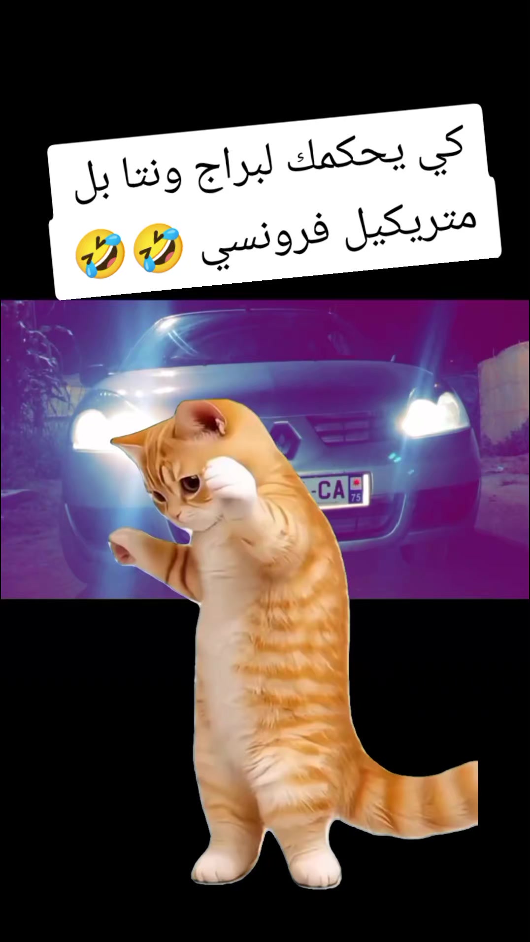 @๐ฆ(ilyas kr)๐ฆ