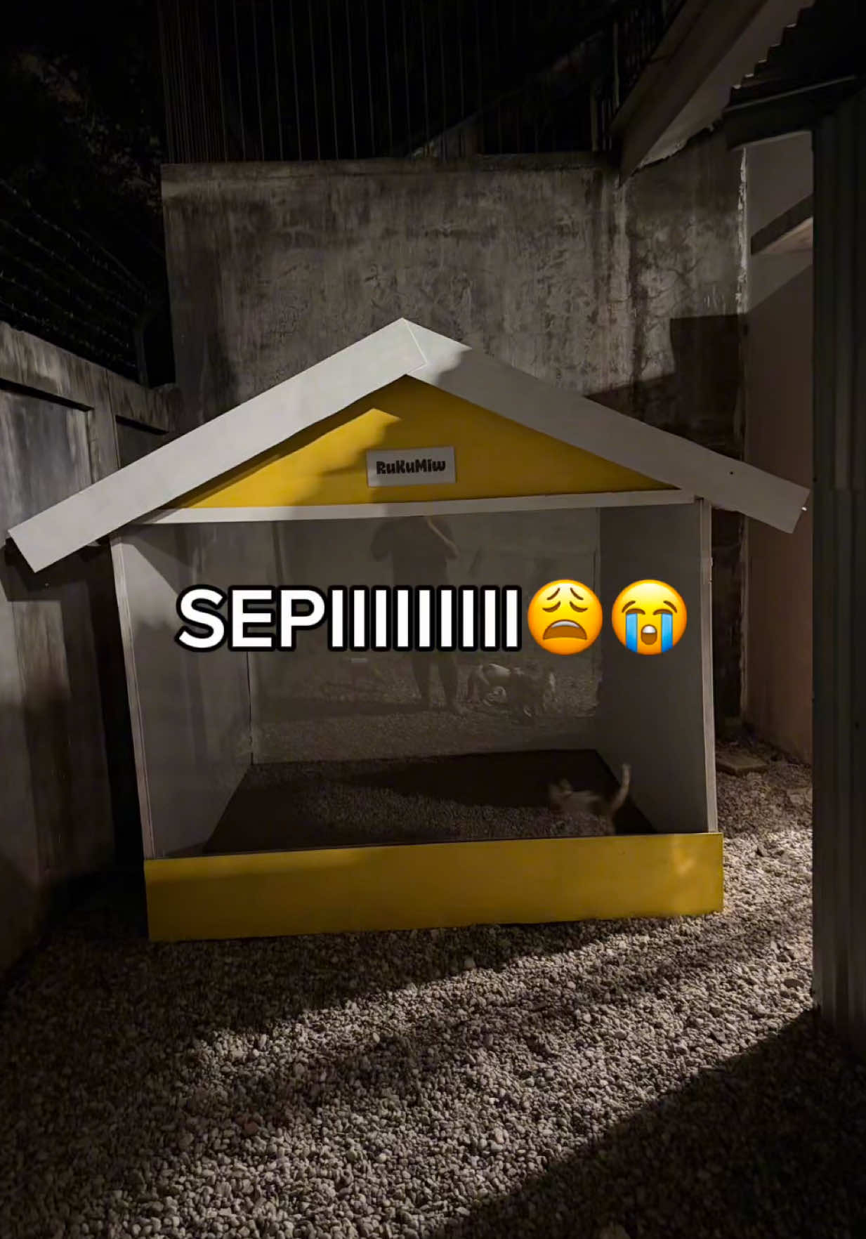 @sosor