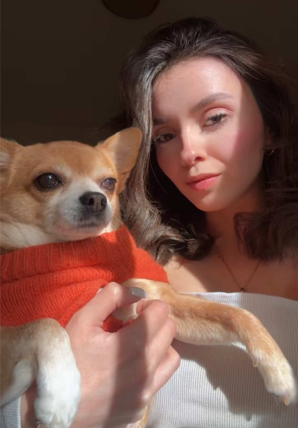 @Geomeetseli