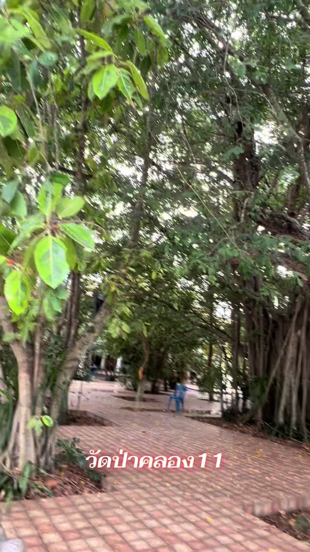 @ลีโอพาเที่ยวพากิน