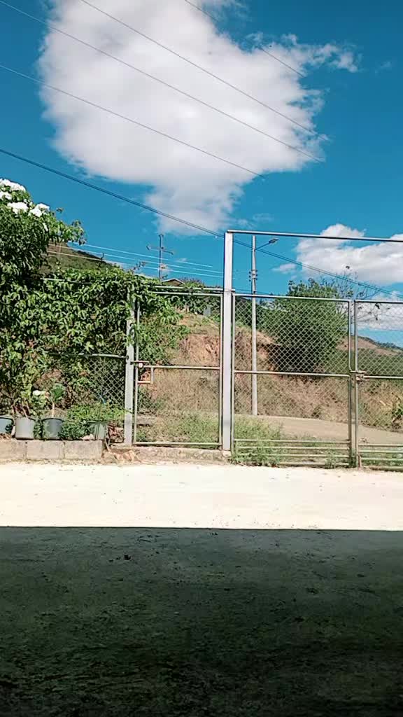 @Narcisa Alulima 🥰