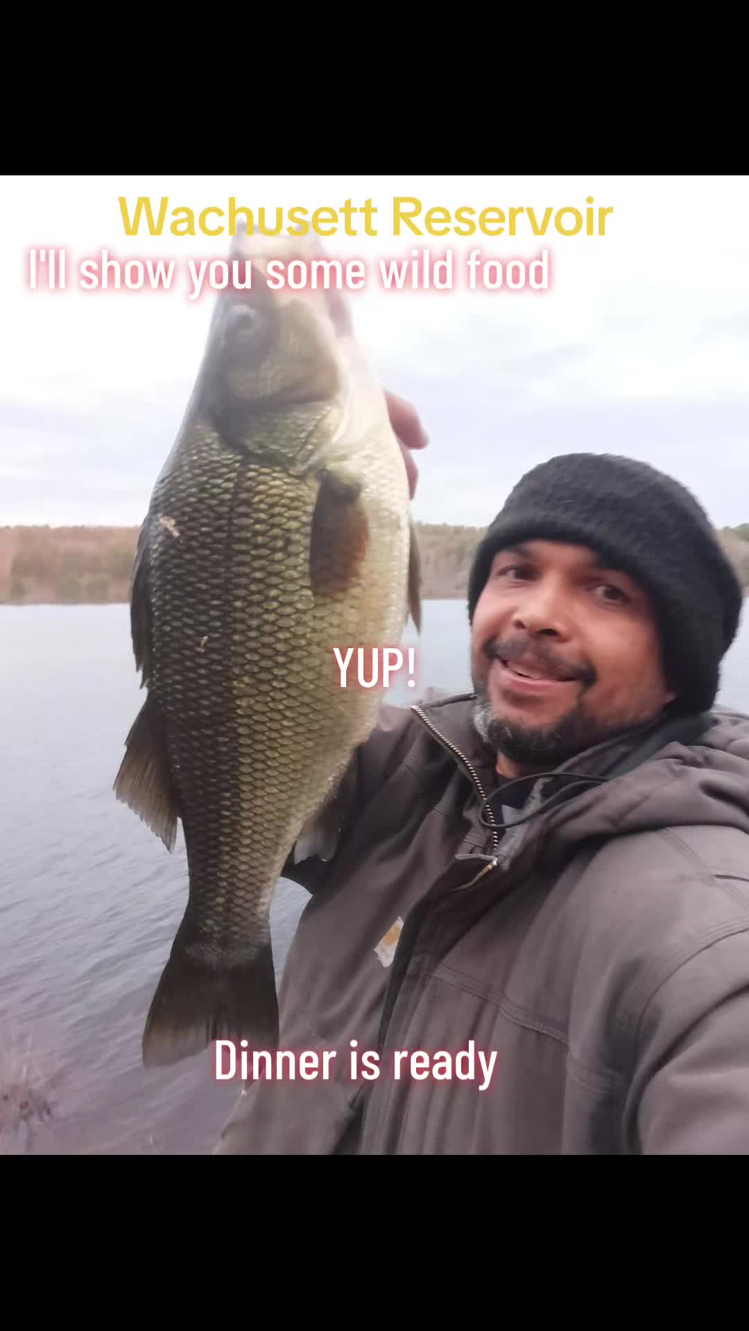 @Carlos Pagan