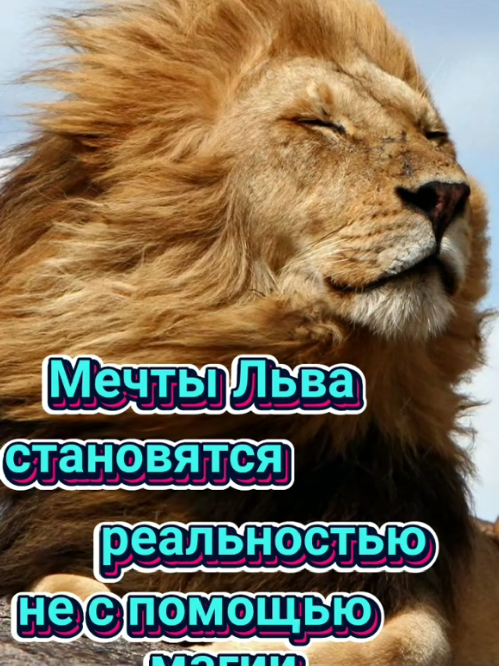 @๐ ๐ฆ KING LION๐ฆ๐