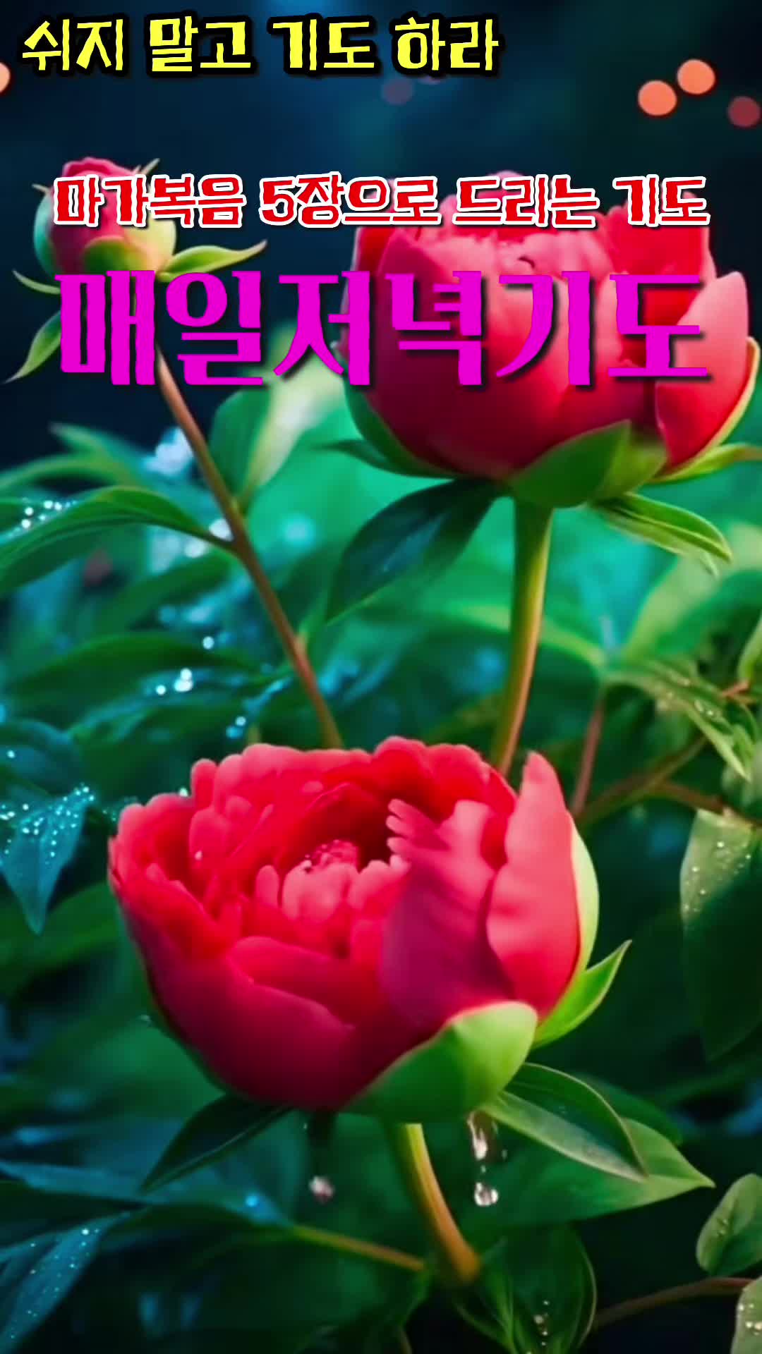 @피켓전도 김종일 목사
