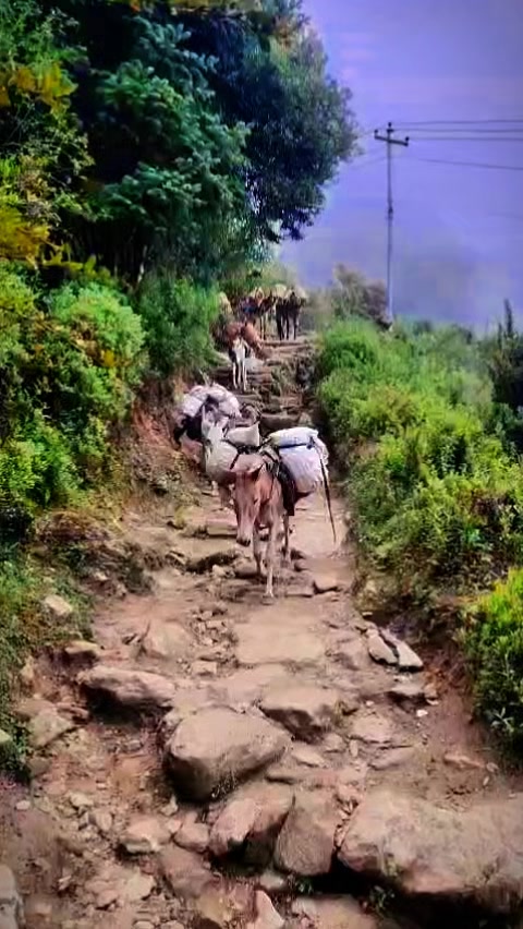 @Ujjal Karki