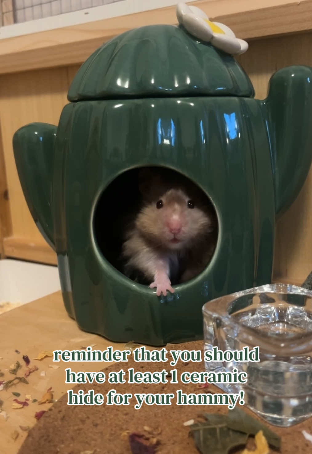 @ɪꜱʟᴀ
