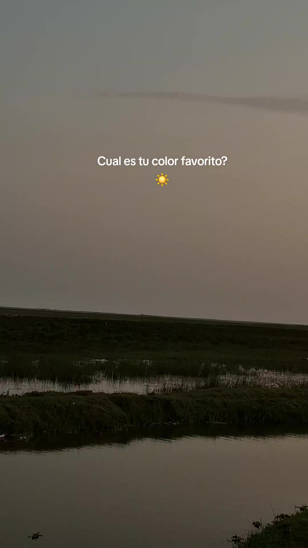 @❤️⭐️🐧