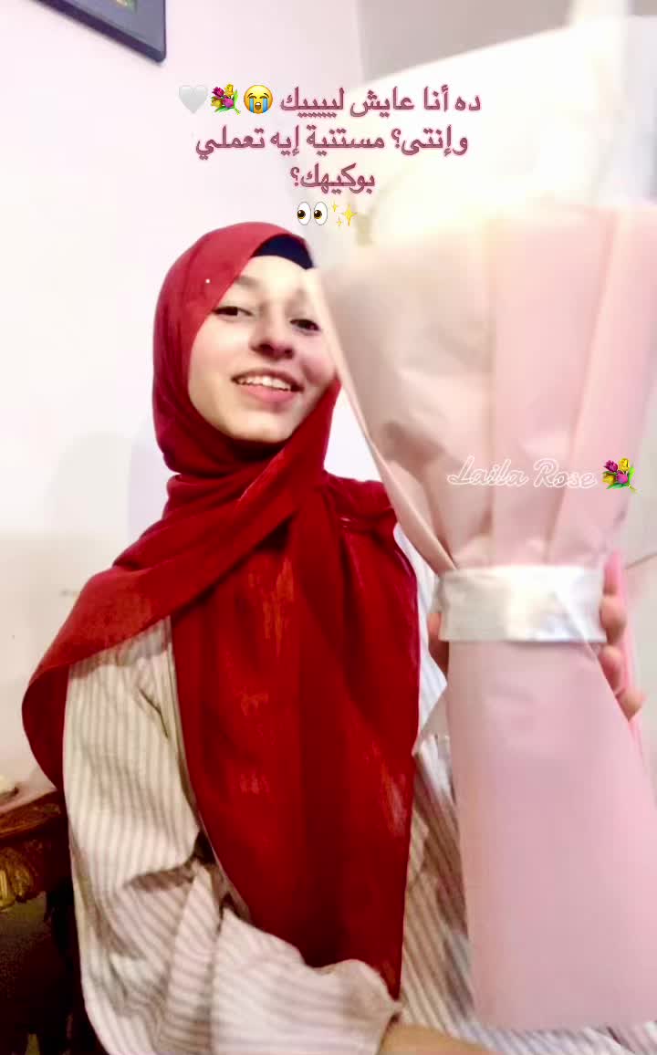 @Laila Mohamed ๐ค