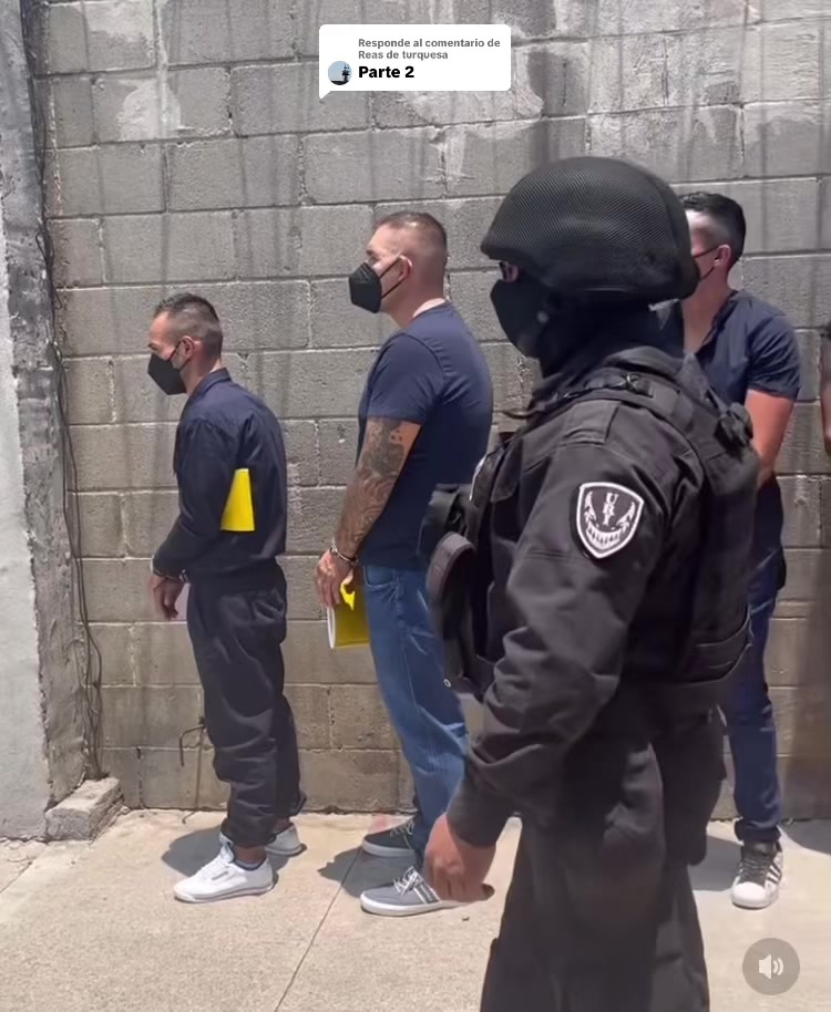 @Reas de turquesa