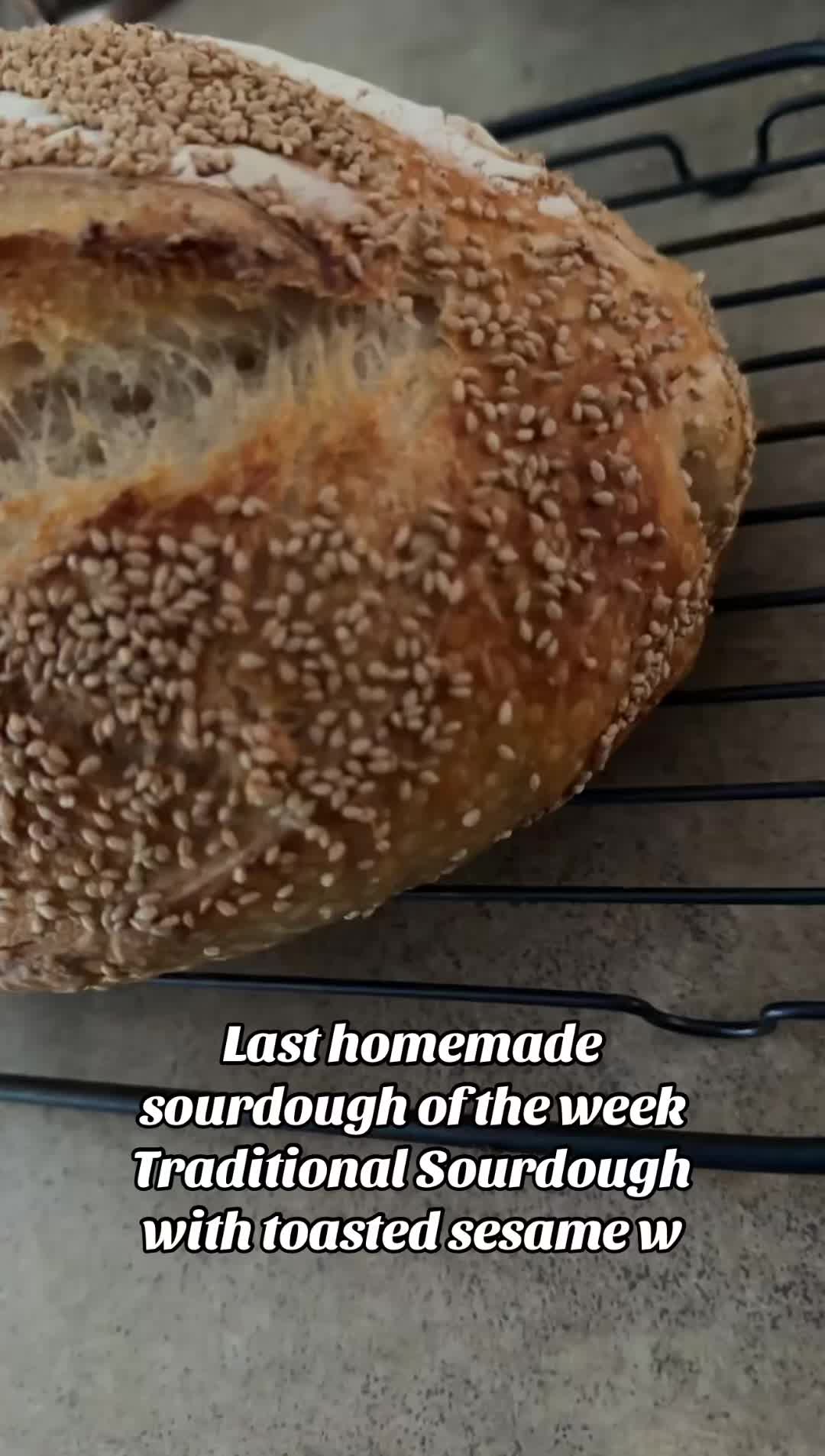 @Honey111🍯