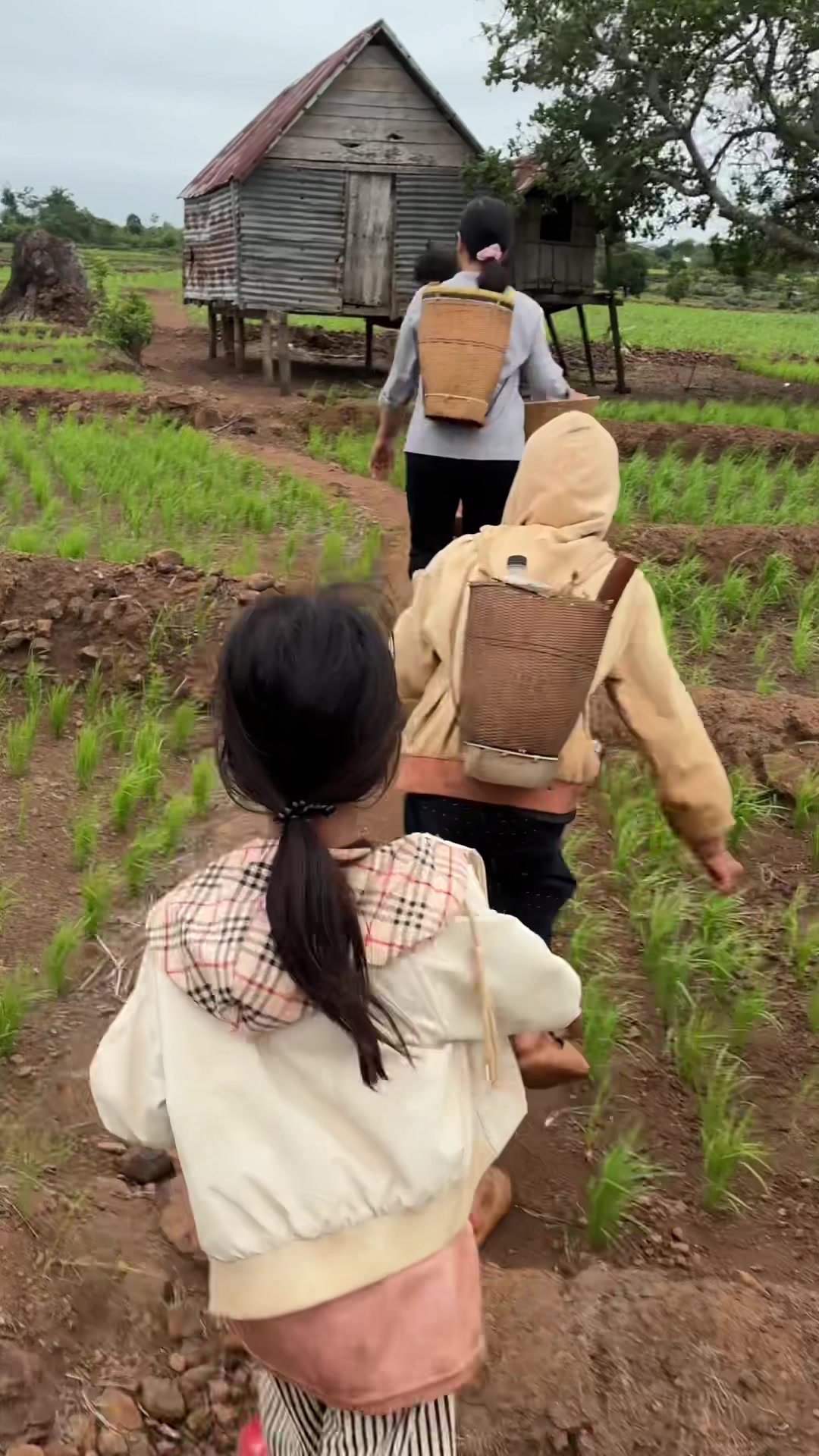 @Minh Du
