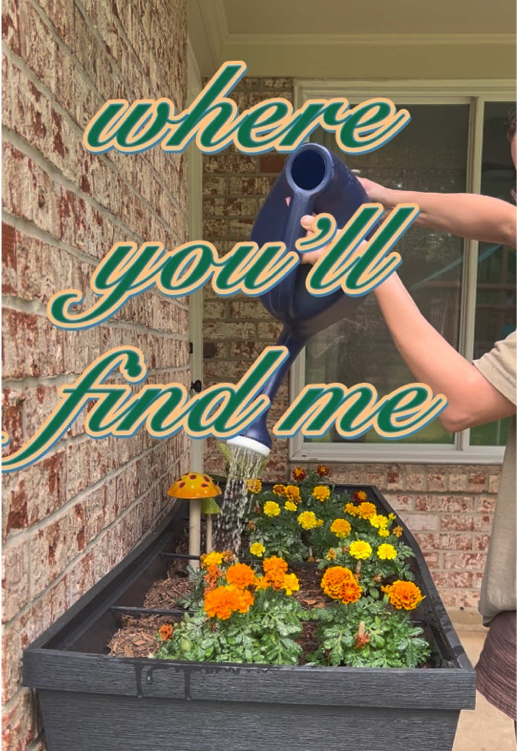 @homeonshreve