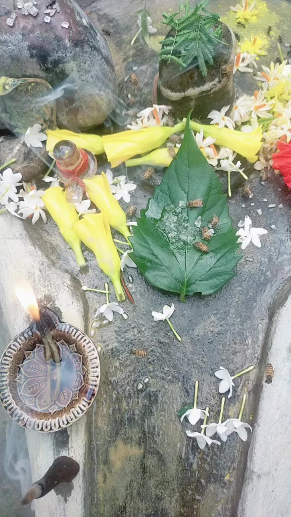 @Mina Shriwasatav