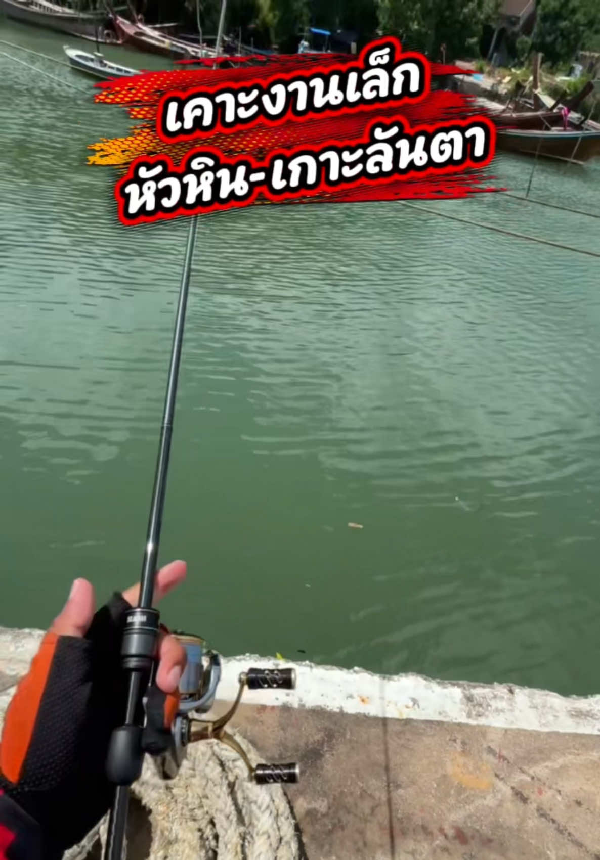 @ᴛᴏᴍ_ᴄʜᴀᴛᴄʜᴀɪ.