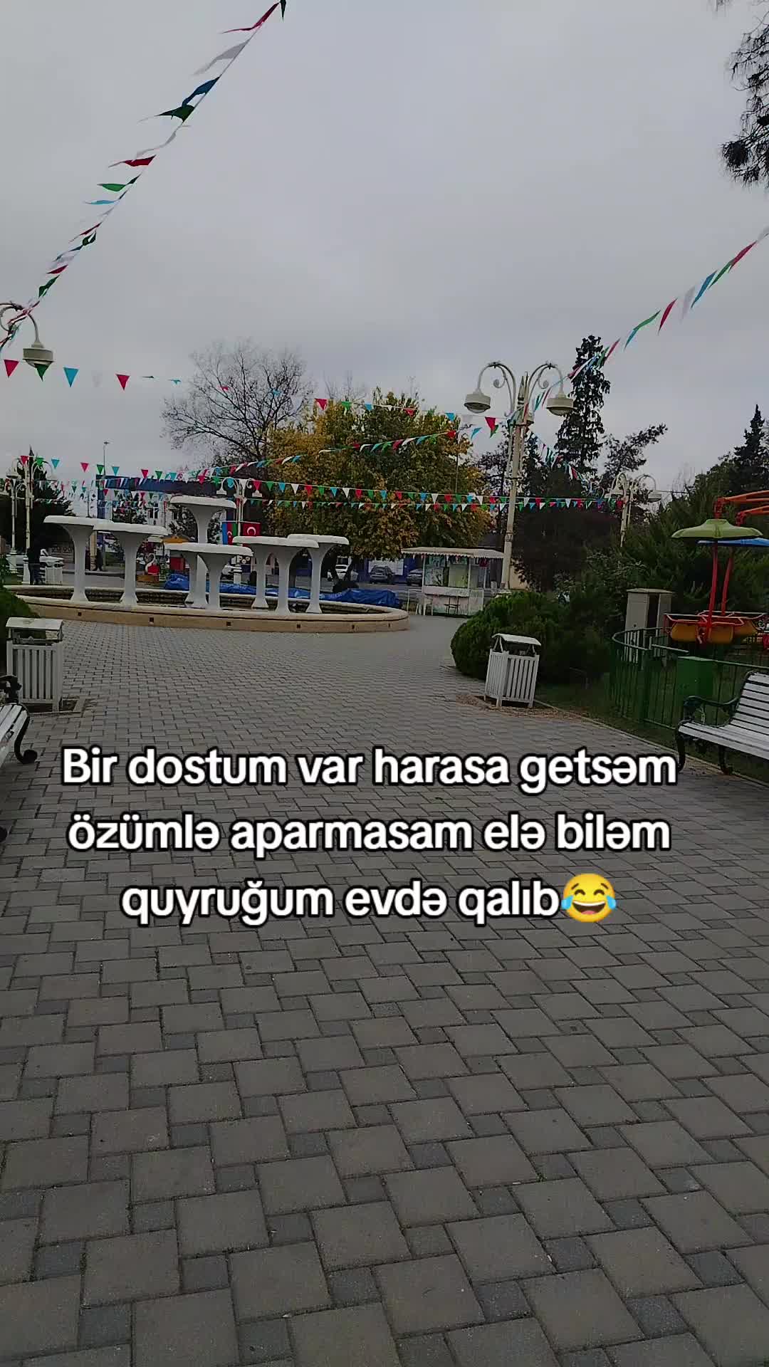 @Poladova🖤