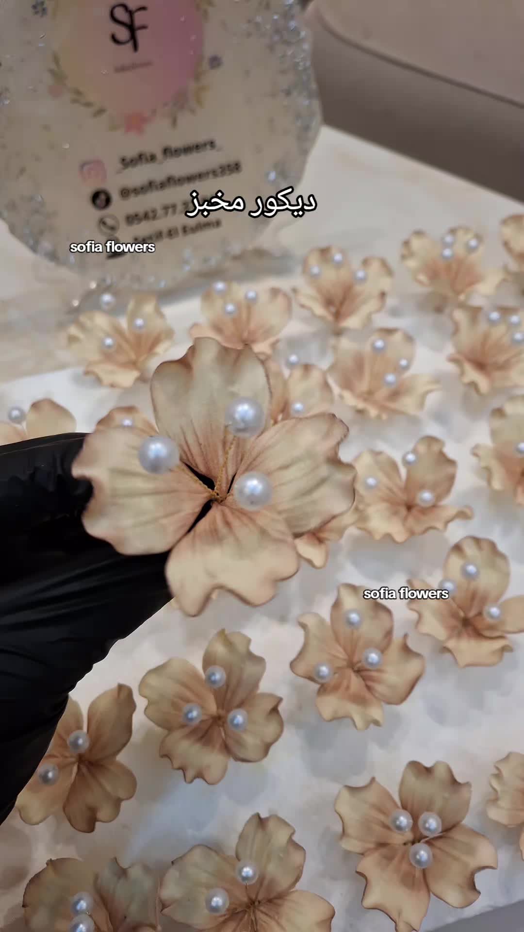 @✨️Sofia flowers✨️