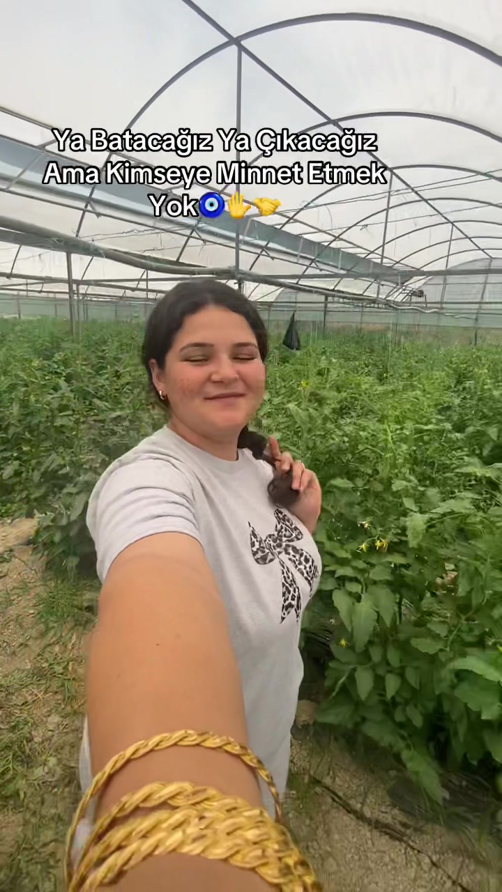 @aysegulertugrulll_