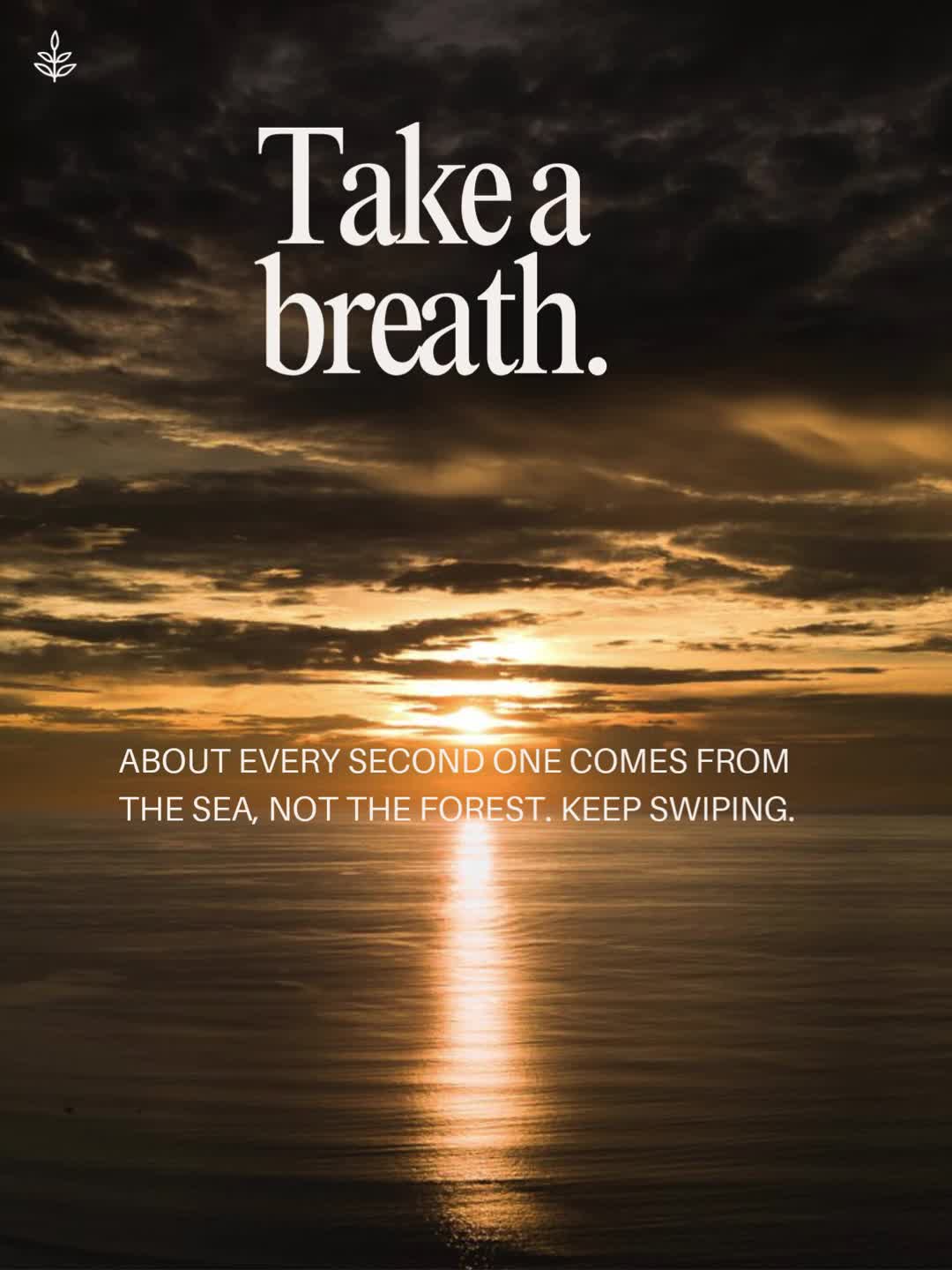 @LIVEKINDLY
