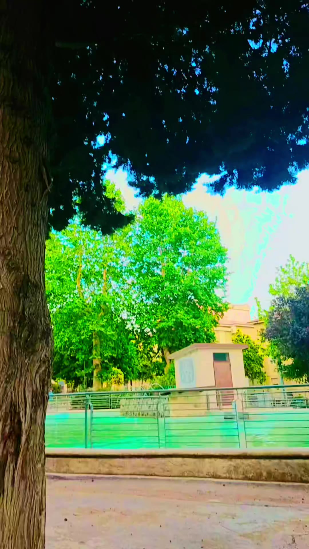 @Ismail Khan 🇮🇹