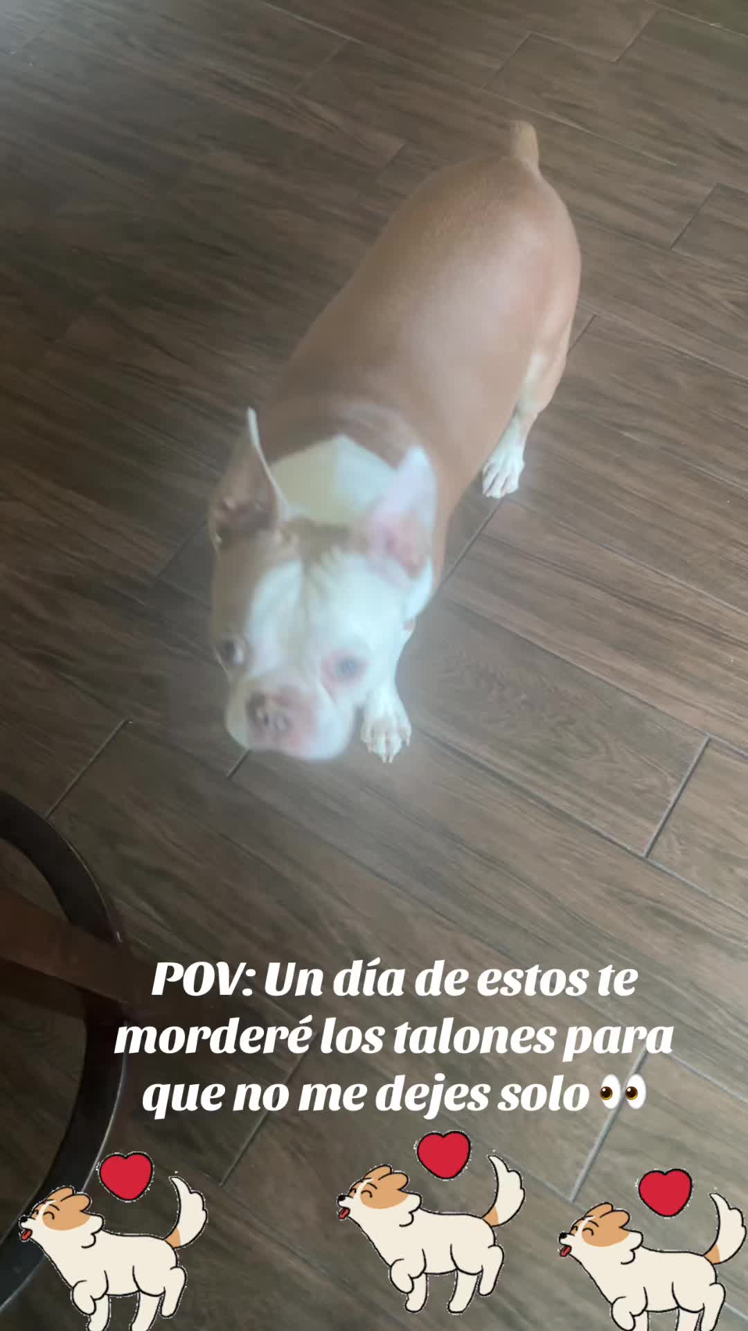 @los3huevertos