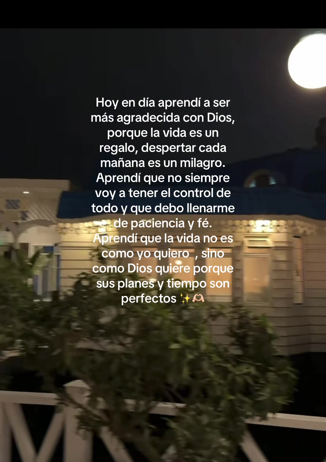 @Brilla en tu caos💫