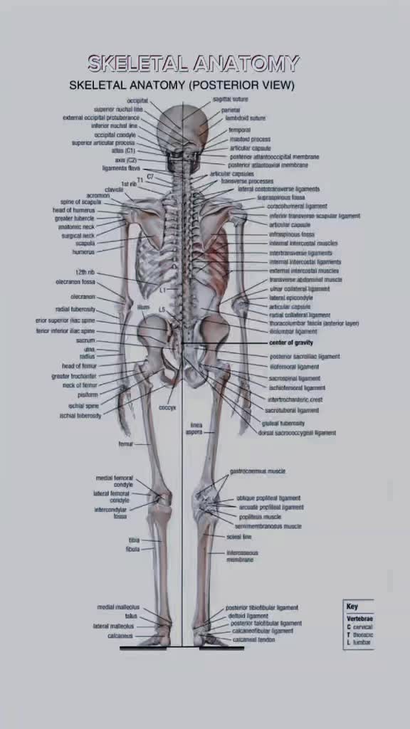 @the radiology zone
