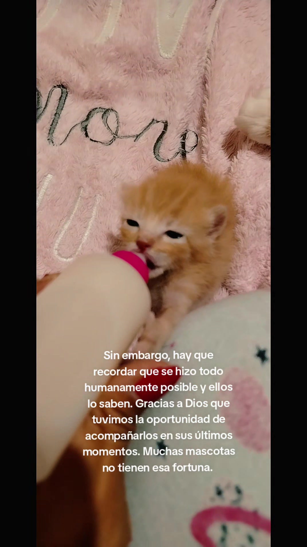 @Lunaticktokera